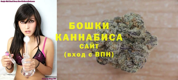 сатива Магас