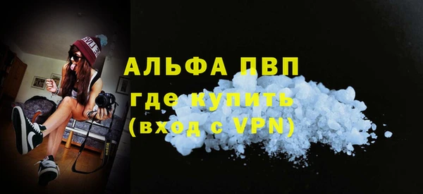 сатива Магас