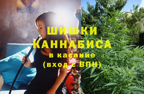 сатива Магас